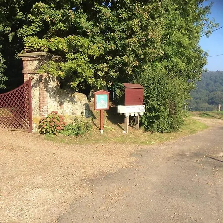 Les Noisettes Sauvages Proche Etretat