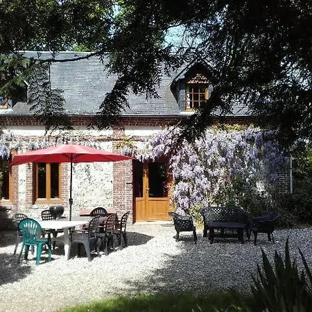 Les Noisettes Sauvages Proche Etretat